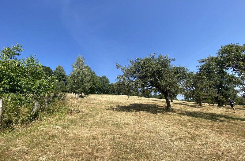 Teren extravilan de vânzare în Râșnov | 6.070 mp | Vedere panoramică - Poză 8