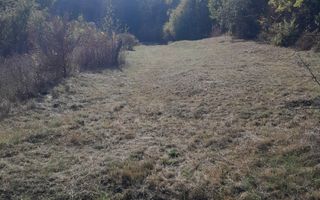 TEREN DE VANZARE IN BABANA, ARGES,  LANGA PADURE - Poză 6
