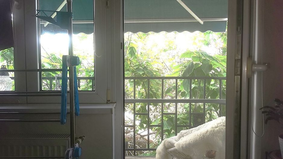 Apartament 3 camere - Central Plevnei (vizavi de Orhideea Gardens) - Poză 14