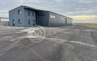Hala de inchiriat, situata la intrare in Livada, Bihor - Poză 1