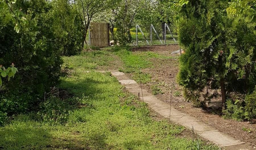 Teren 2.600 mp, utilități, Str. Merișor – Giurgiu - Poză 13