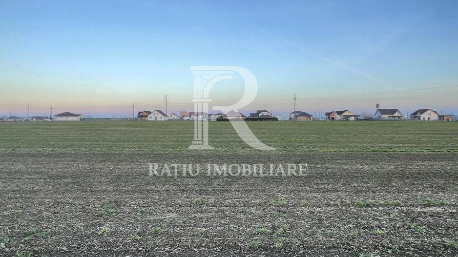 Teren intravilan 500 MP | Livada de Bihor | Bihor - Poză 3