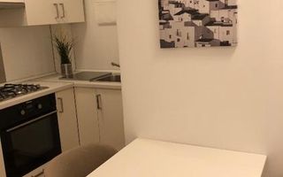 Apartament 2 camere, vedere parc Cismigiu, mobilat, etaj 2 - Poză 4