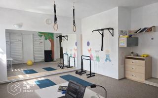 Vilă exclusivistă cu funcțiuni mixte, în Sânandrei- potențial investițional - Poză 11