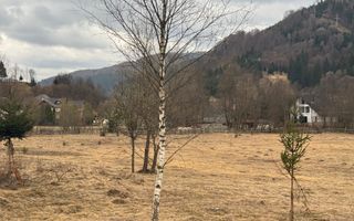 TEREN INTRAVILAN 500 MP SĂTIC- RUCĂR - Poză 8