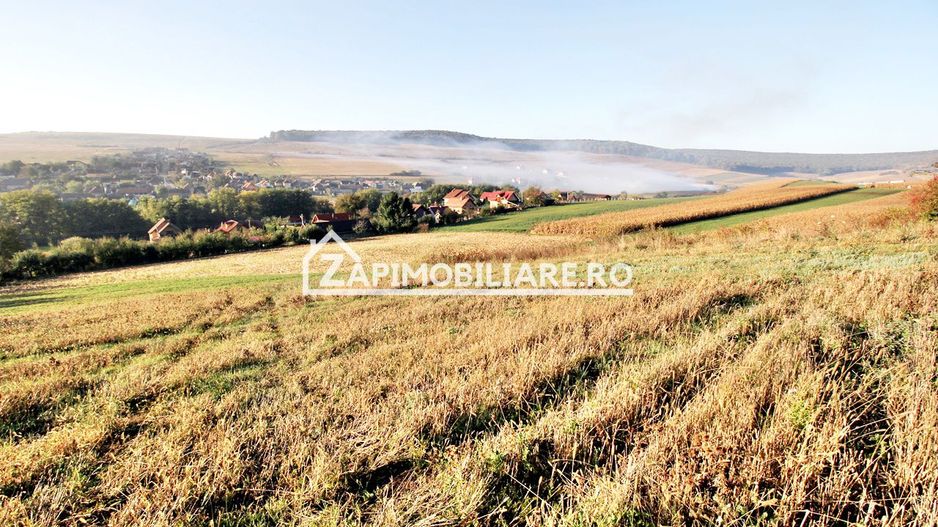 Teren 25.000 mp.  Comuna Voiniceni ,12 euro mp.comision ZERO - Poză 3