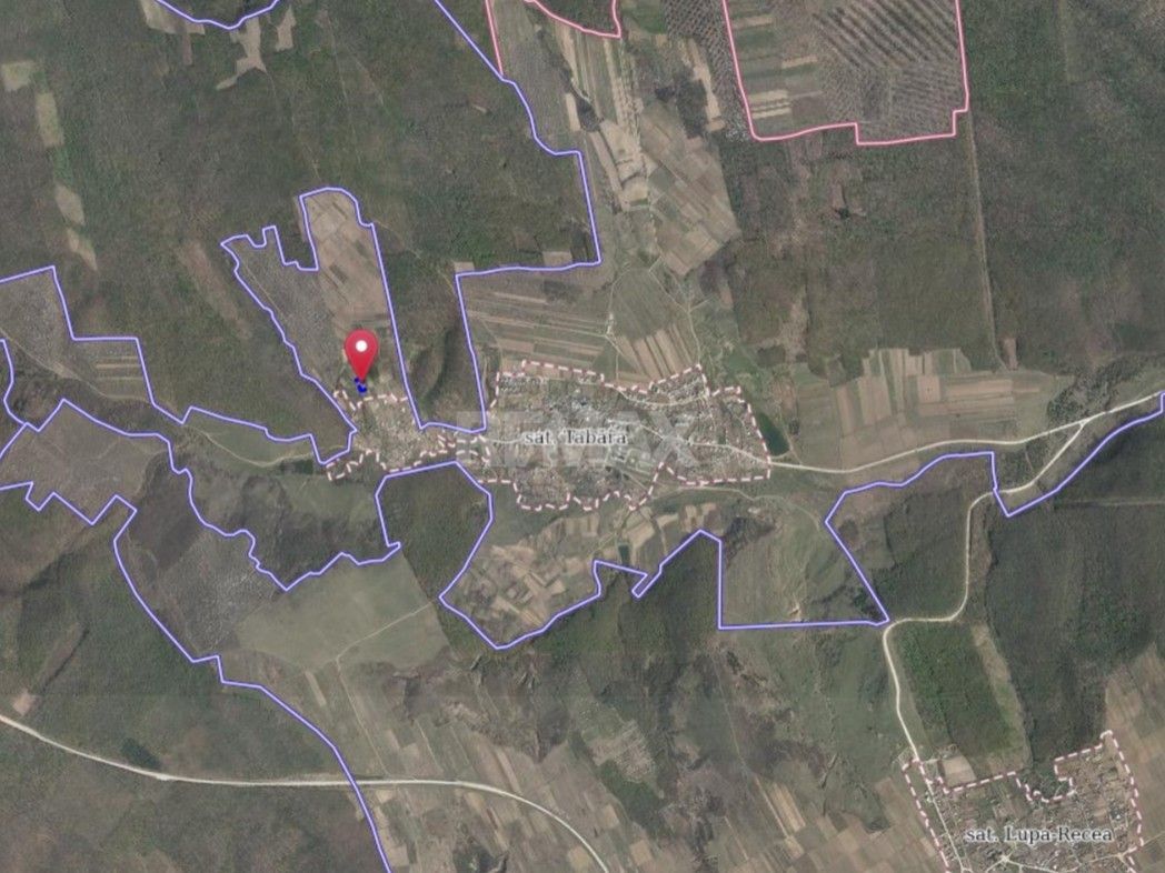 Tabăra/Orhei | 11,62 ari | Teren în inima Codrilor – Ideal pentru evadare în natură sau investiție - Poză 10