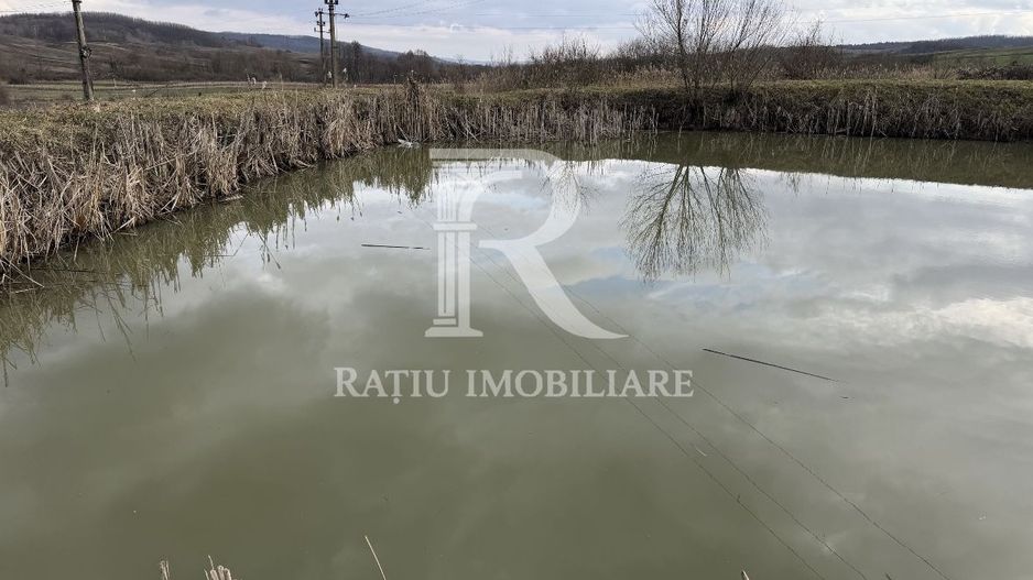 Pescărie cu teren intravilan | Drăgești | Bihor - Poză 2