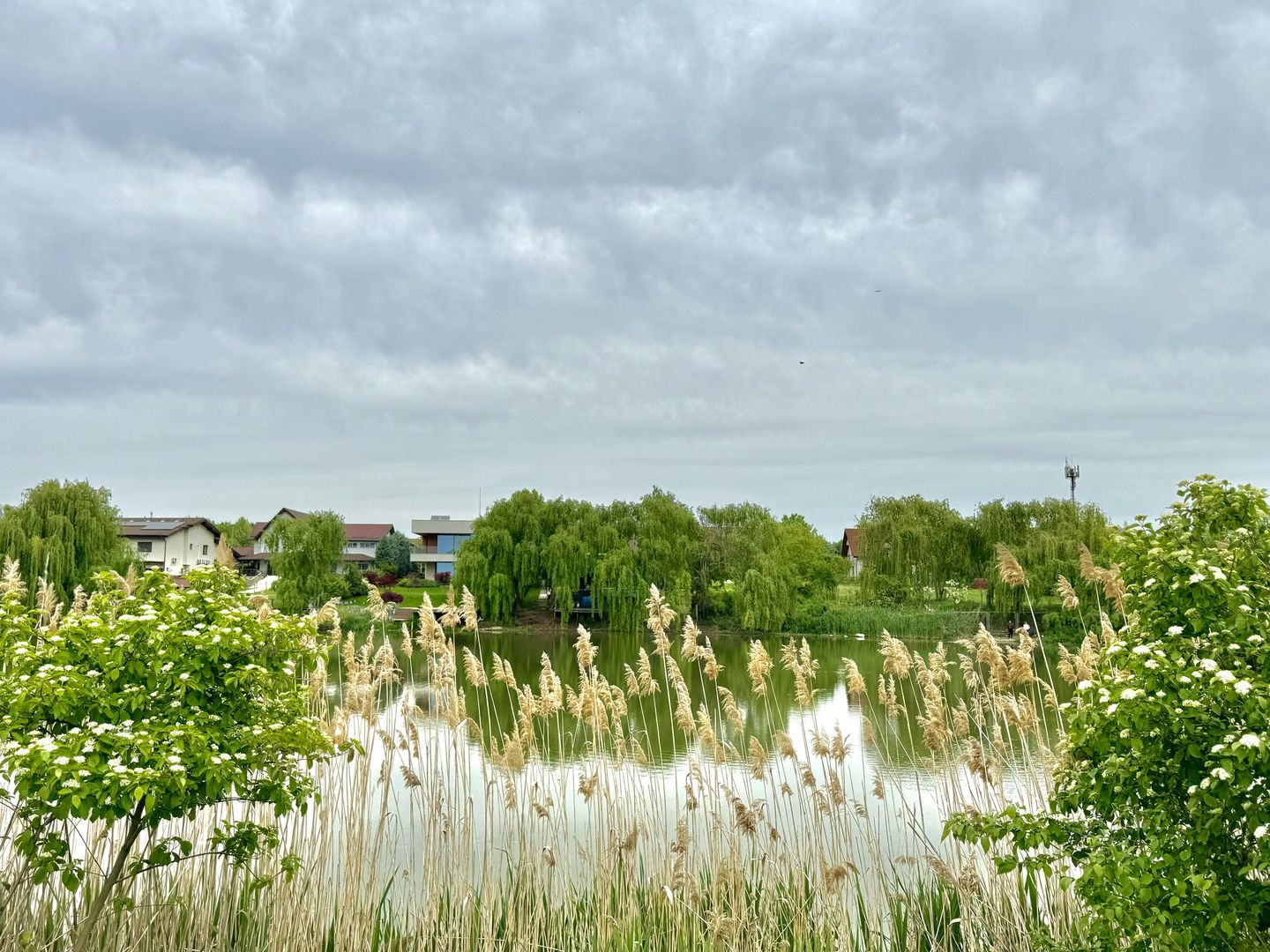 Proprietate deosebita deschidere lac Paradisul Verde Corbeanca - Poză 5