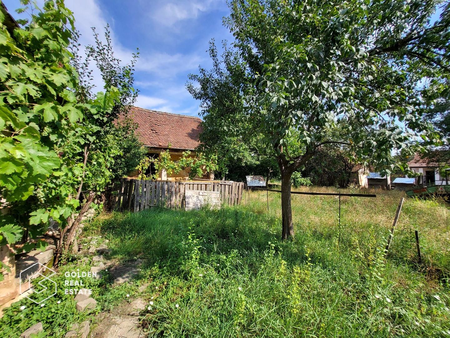 Casa cu teren de 1807 mp, Oras Lipova - Poză 9