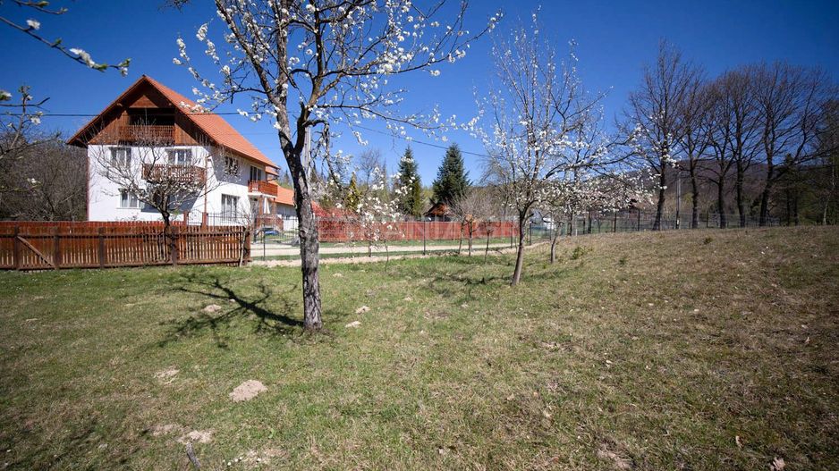 Teren intravilan, pretabil pentru casa de vacanta, 2000 mp - Poză 16