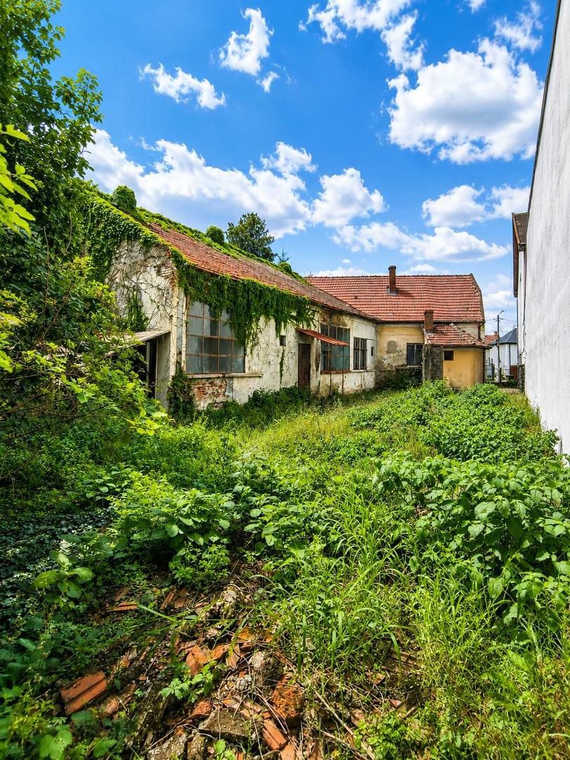 Proprietate de investiție, zona zero Satu Mare – teren 744 m2, front 19 m - Poză 4