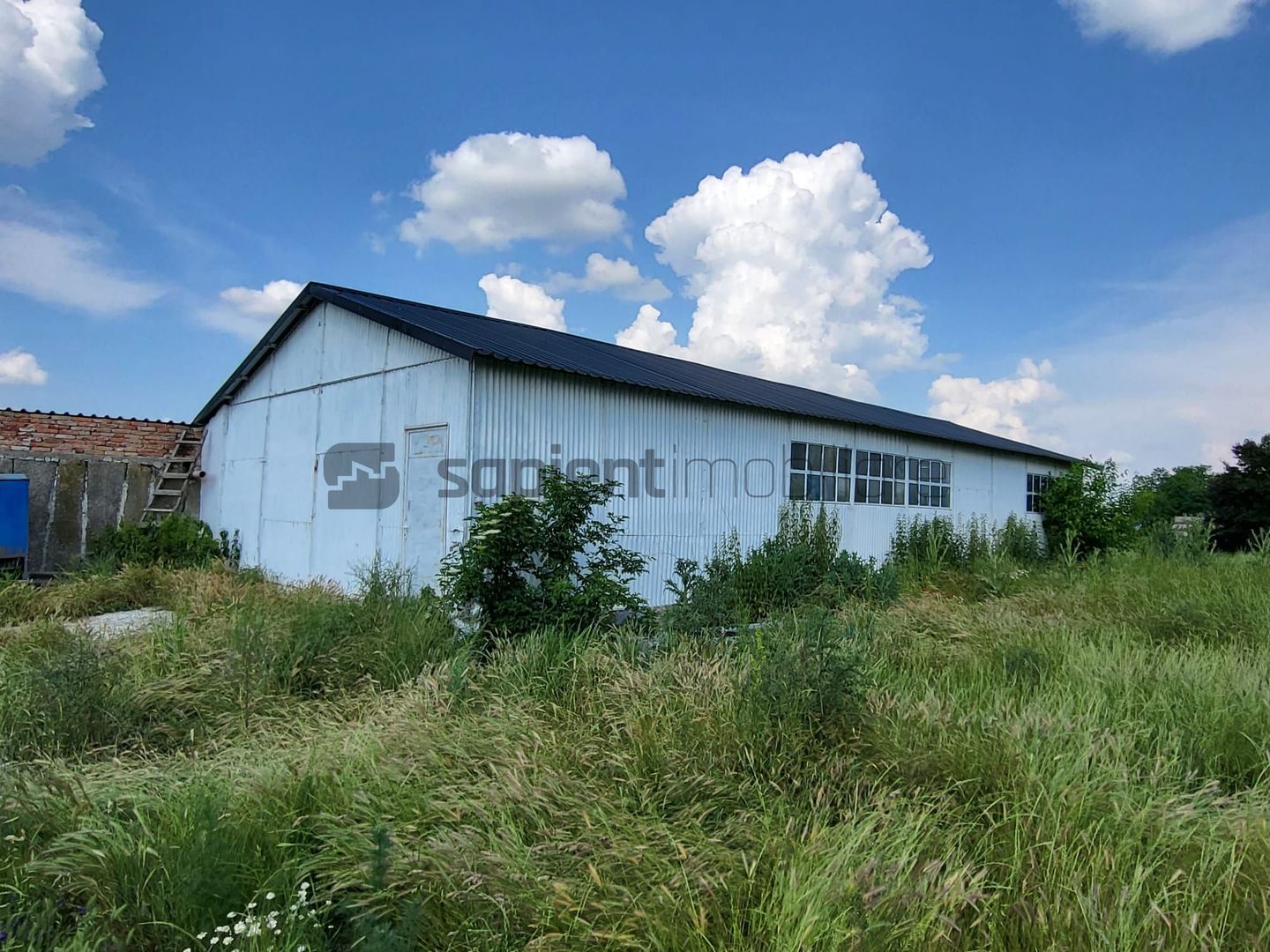 FERMA ZOOTEHNICA DE VANZARE - Poză 2