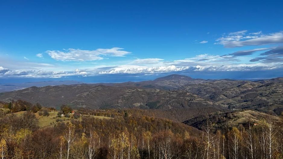 Teren extravilan 2ha, priveliste panoramica spre munti /Poiana Marului - Poză 4