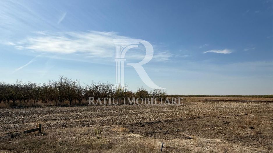 Teren intravilan agricol | 7029 mp | Satu Nou | Bihor - Poză 14