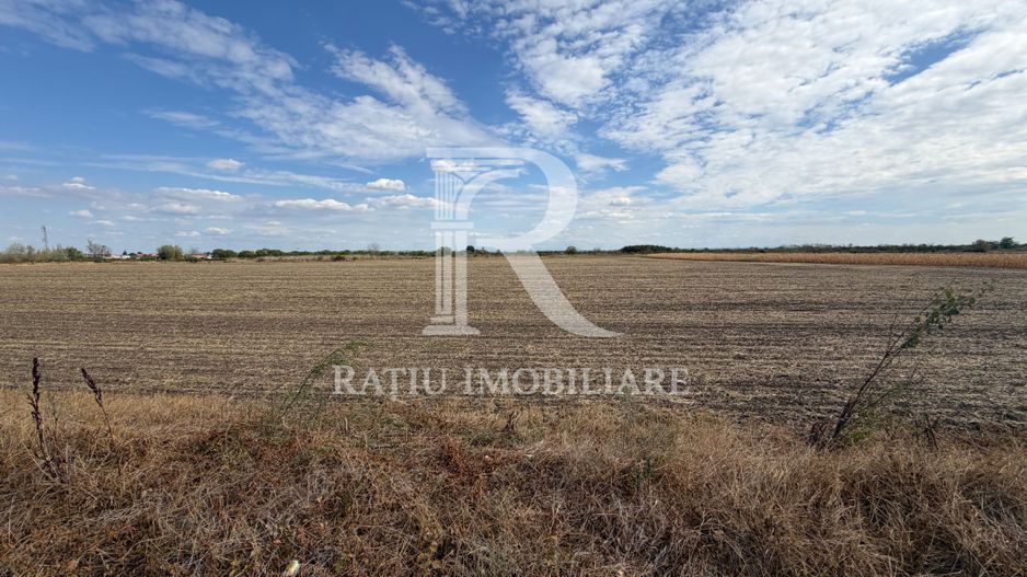 TEREN INTRAVILAN 4.750 MP | BORȘ | OPORTUNITATE DE INVESTIȚIE - Poză 3