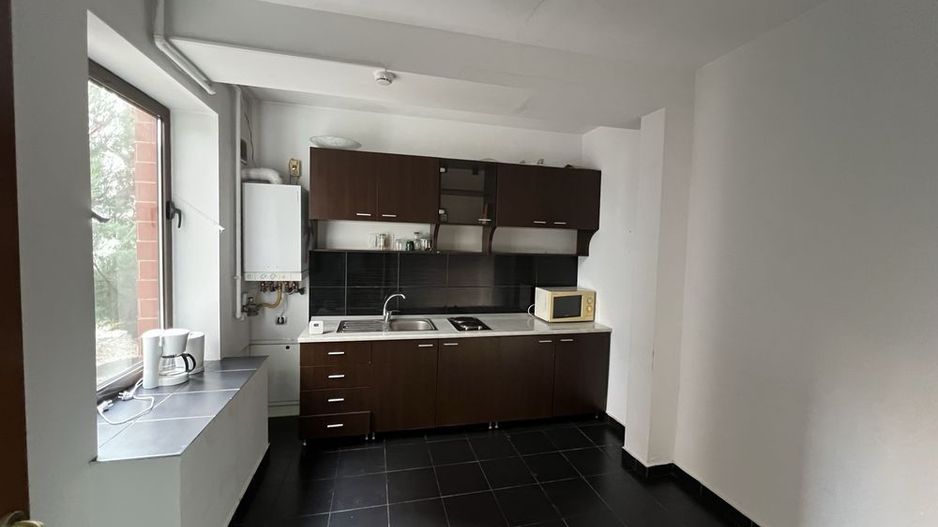 Spatiu Birouri de inchiriat - Garad de Nord - Cismigiu - Poză 4