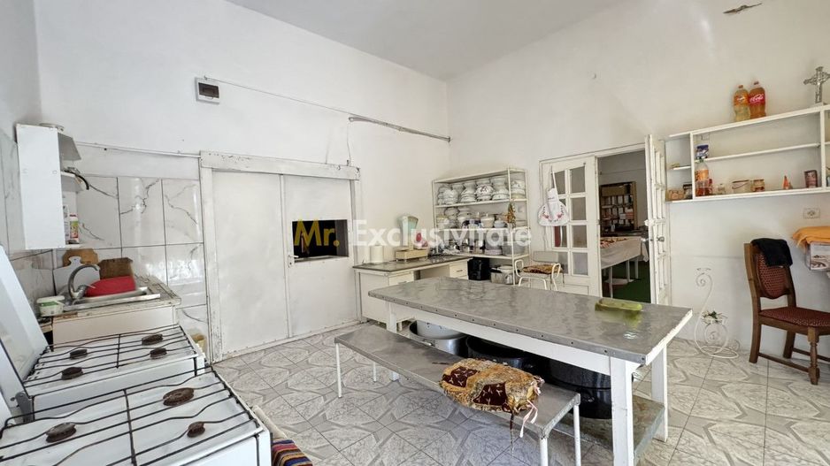 Spații de Inchiriat - Proprietate cu funcțiuni mixte – Str. Căplenilor Carei - Poză 19