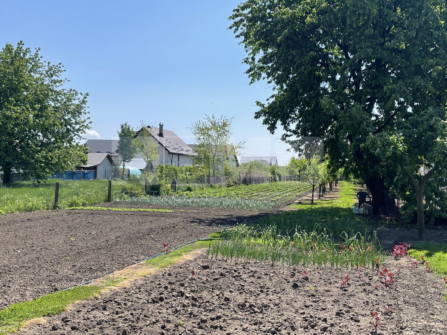 Casa veche stil nemtesc | Teren 23,5 ari | Radauti - Poză 6