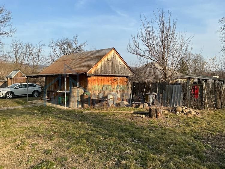 Casa Batraneasca 100 MP + teren intravilan 400 MP, 4500 MP extravilan - Poză 7