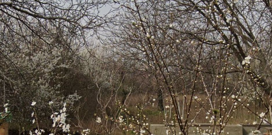 Teren 2,000mp Prelungirea Ferentari - Poză 3