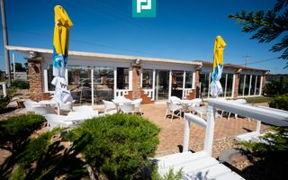 Business la cheie și 25.000 mp teren Arad-Oradea - Poză 2