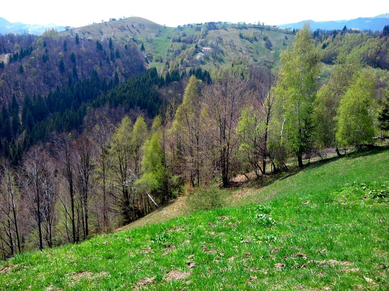 teren intravilan in zona Magura Bran - Poză 23