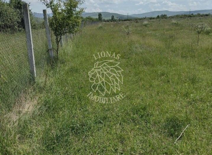Teren 23700 mp (2,37 ha)-ideal investitie,cabana-Sesul Jelnei - Poză 3
