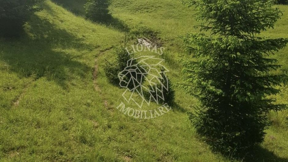 Teren 2,3ha si Padure 1ha-zona deosebita-Pasul Tihuta-EXCLUSIV - Poză 2