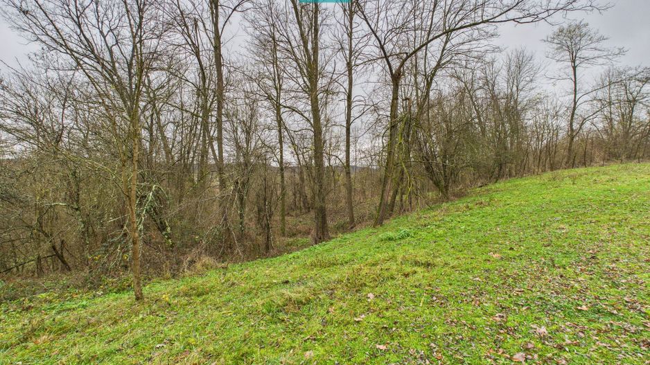 Casă cu teren de 24.679,73 mp, în Hălmagiu, Arad - Poză 26