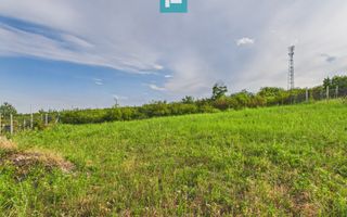 Teren 500m Saldabagiu de Munte - Poză 2