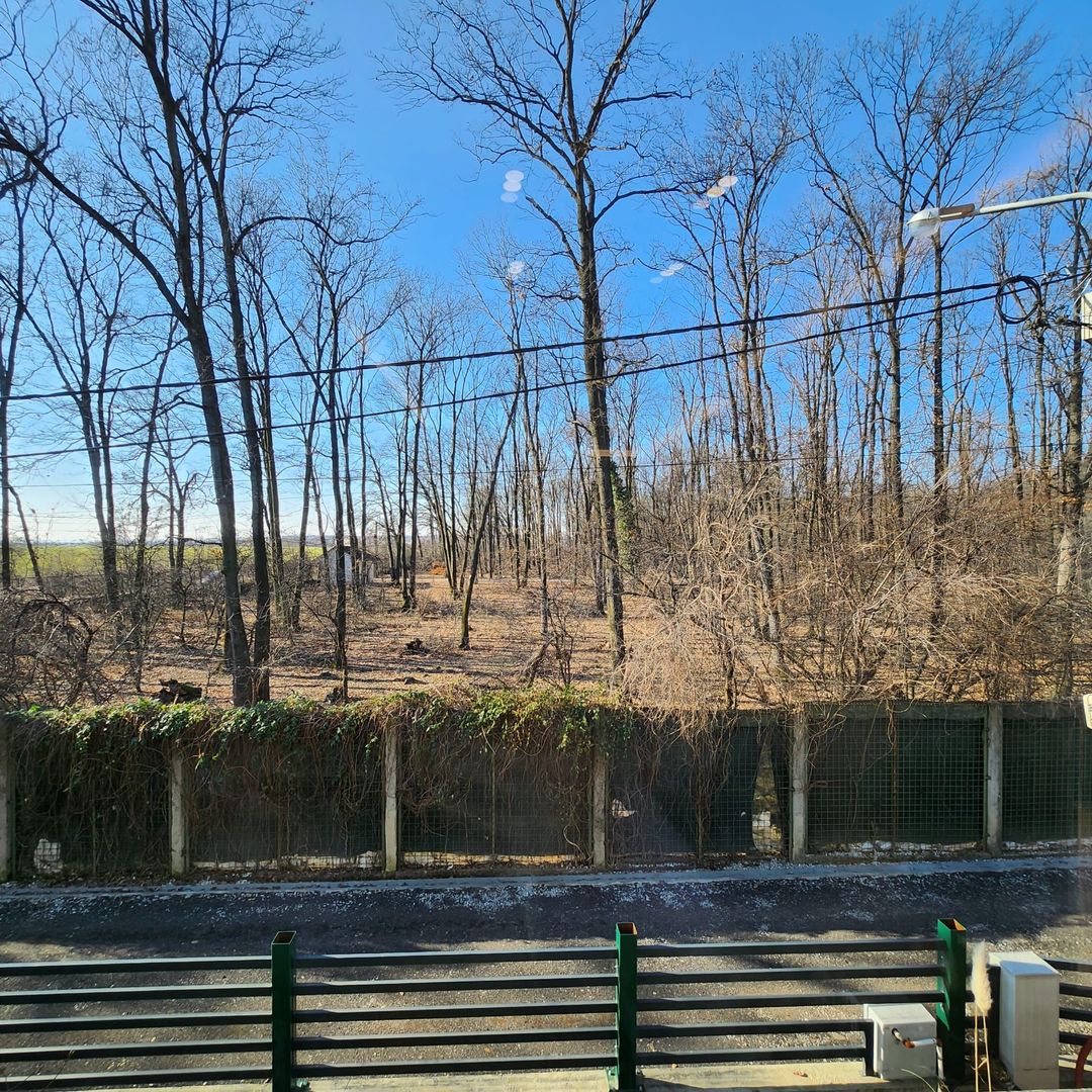 Vila individuala strada Radarului la padure - Poză 10