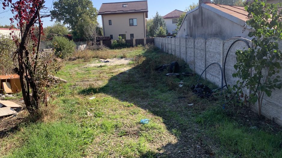 VANZARE TEREN 500MP-SISESTI-PADURE - Poză 6