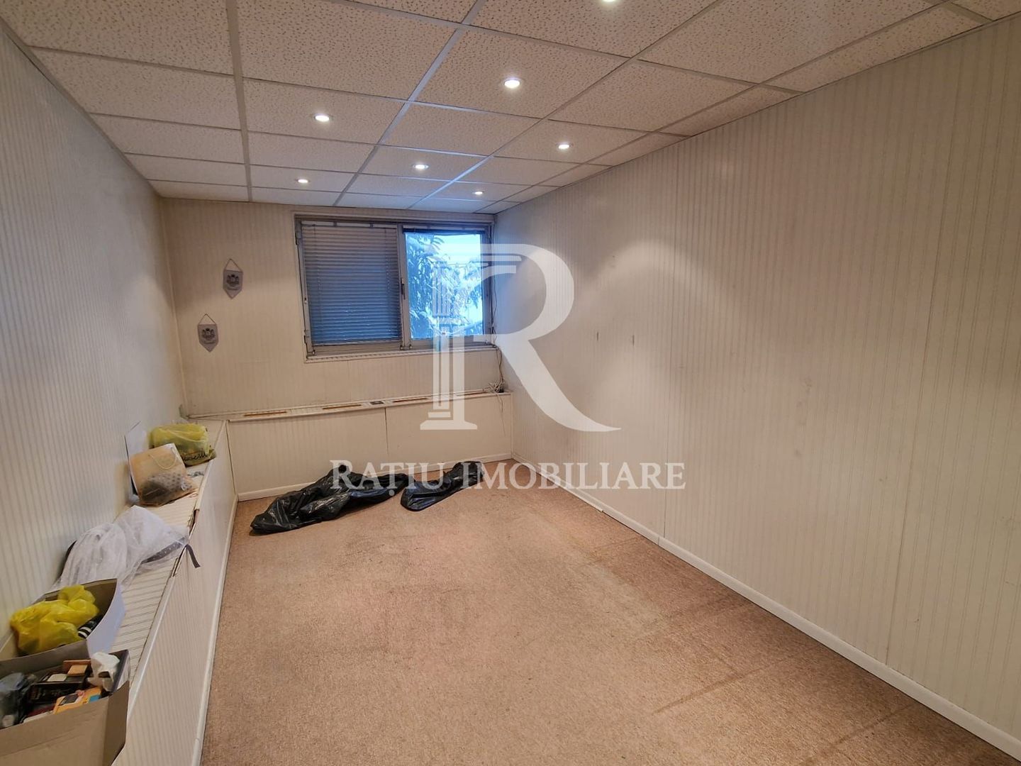 14.302 MP TEREN | 4.925 MP CONSTRUIT | PUTERE ELECTRICĂ EXCEPȚIONALĂ | FĂRĂ SARCINI - Poză 9