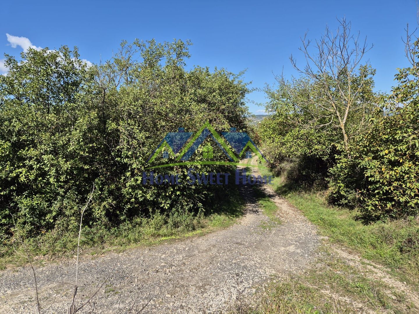 Teren intravilan în zona Lătureni – Buituri, în spatele casei nr. 100! - Poză 9