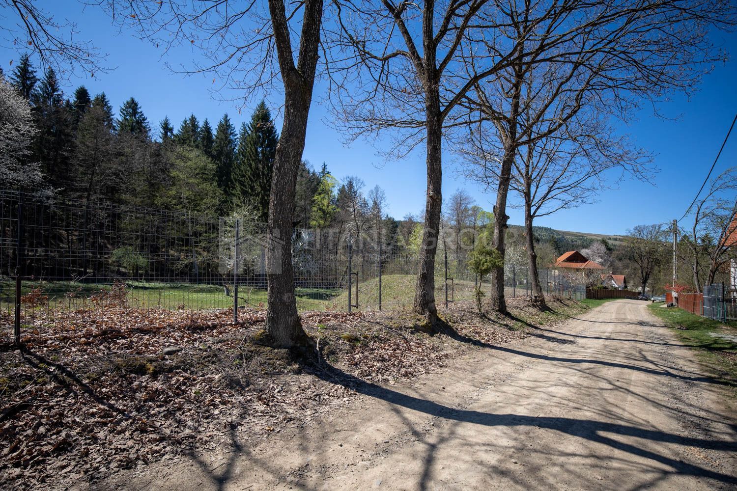 Teren intravilan, pretabil pentru casa de vacanta, 2000 mp - Poză 10