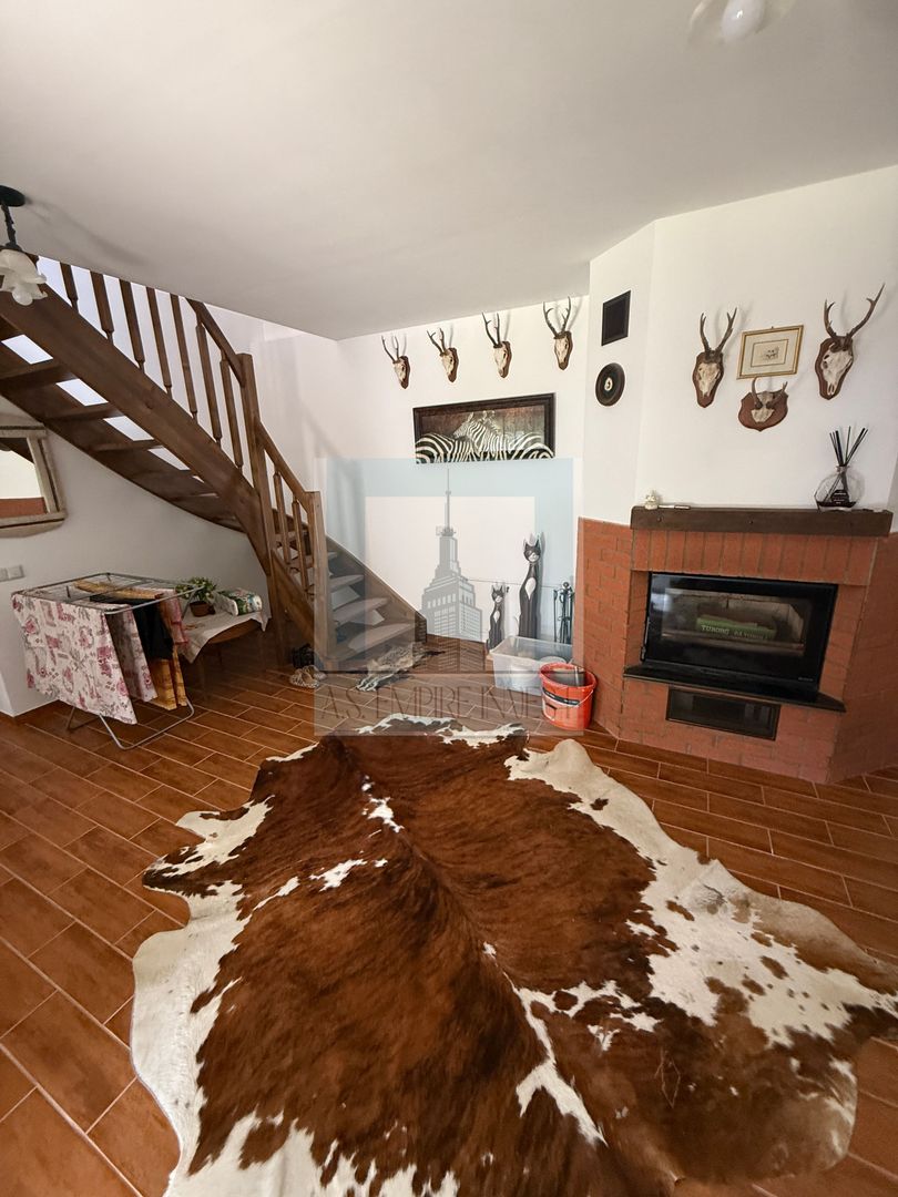 Complex Turistic activ,  2 lacuri ,teren 16800 mp -zona Valea Dobârlău - Poză 24