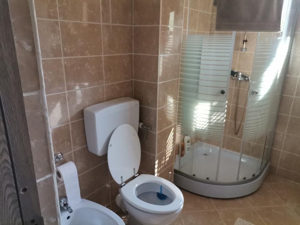 Vanzare vila Pitesti, Intrarea Nicolae Balcescu - Poză 5