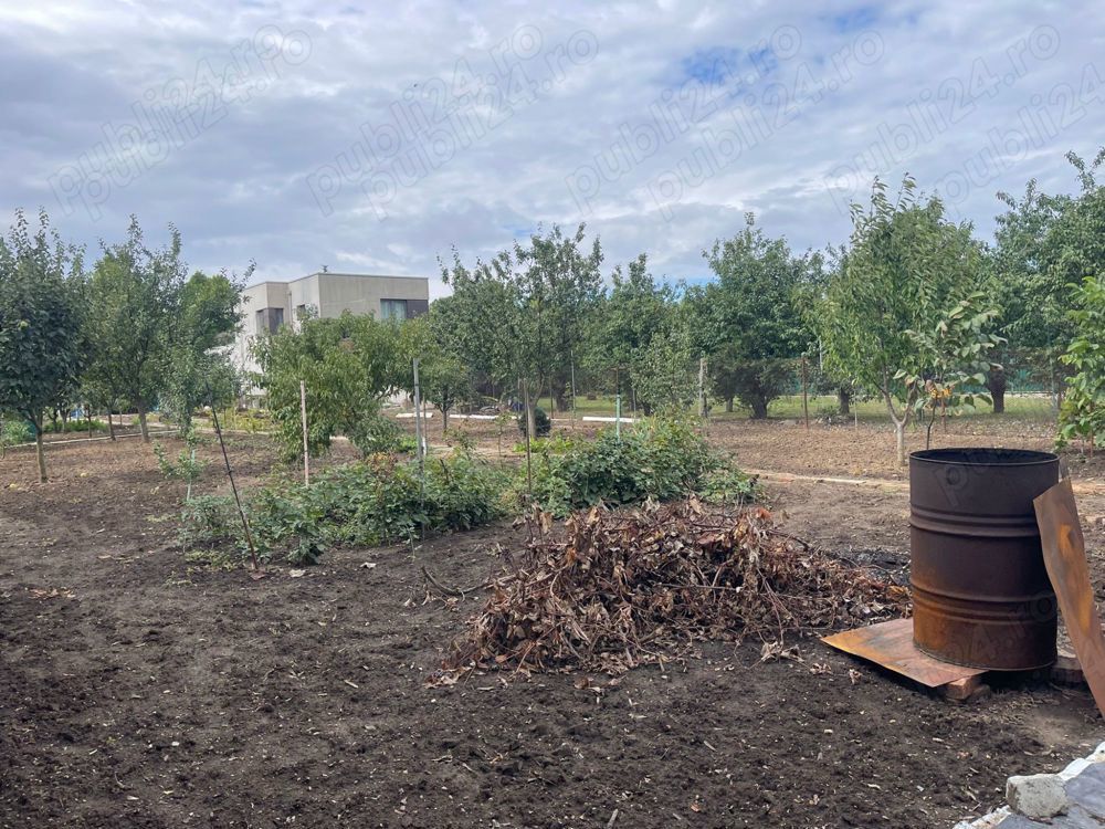 Teren de vanzare | Mogosoaia | 1252 mp - Poză 3