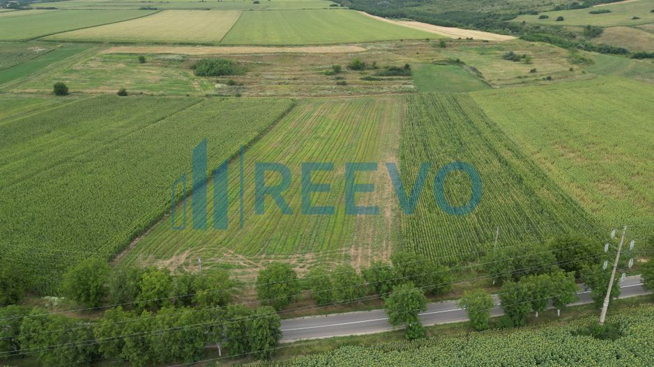 Teren de 4.400 mp Racova - Poză 6