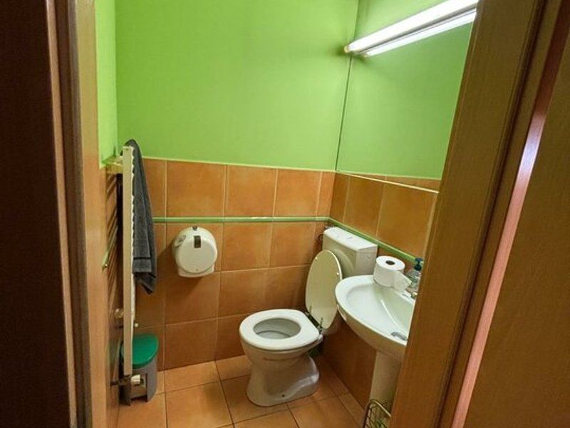 Spatiu comercial langa Medicina si Prefectura - Poză 11