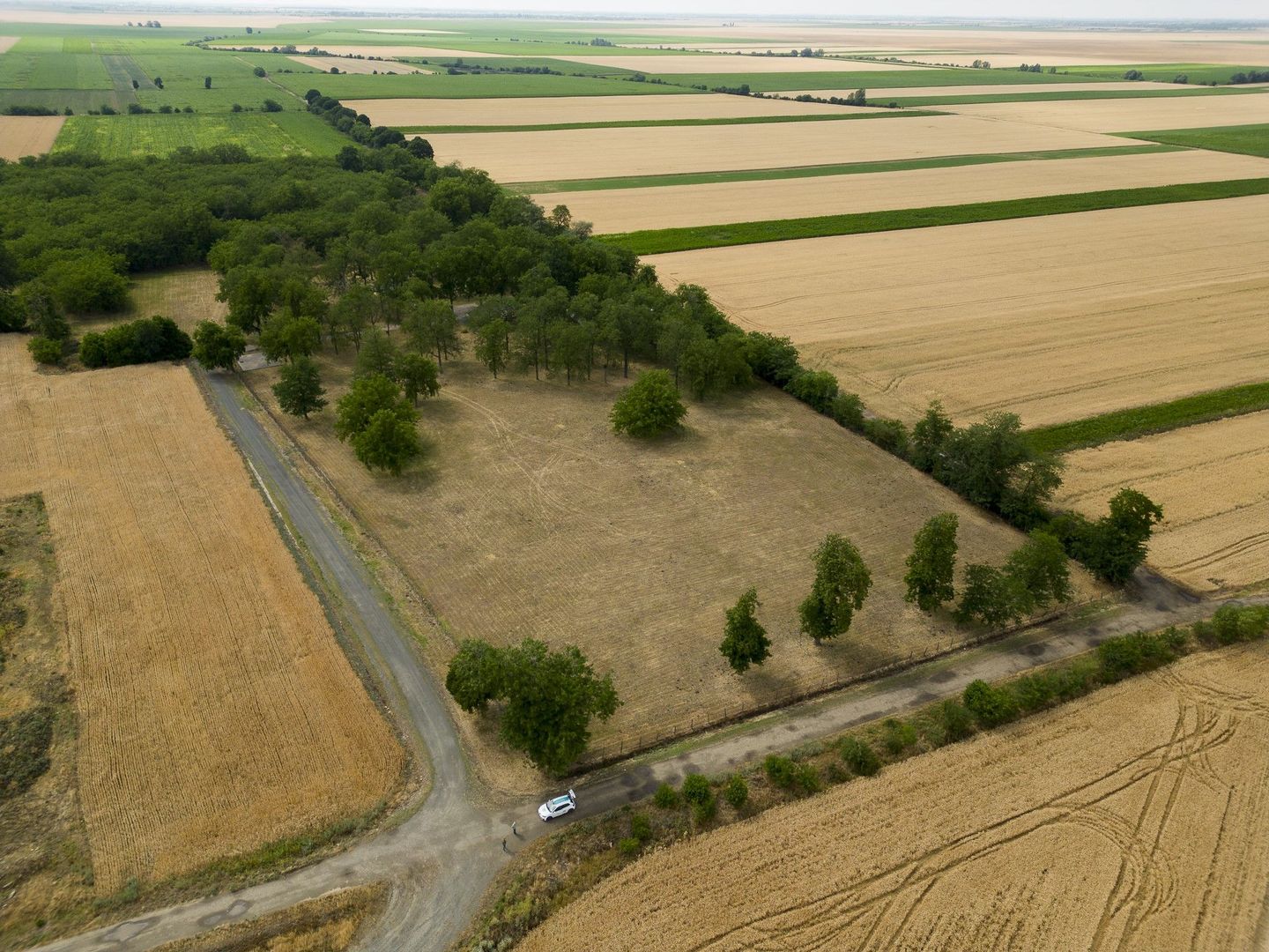 Teren intravilan Şofronea - Poză 2