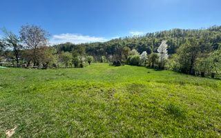 TEREN INTRAVILAN 2592 MP,  ALBESTI DE MUSCEL, ARGES - Poză 9