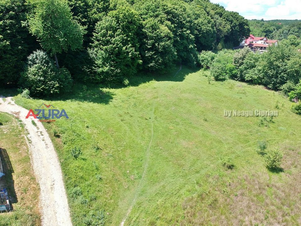 Vanzare teren 904 mp, Bascov, langa padure - Poză 6