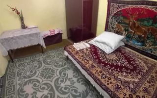 Casă cu grădină și anexe în Hoișești, la 20 minute de Iași - Poză 8