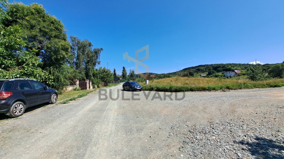 Teren intravilan in Salicea - Poză 6