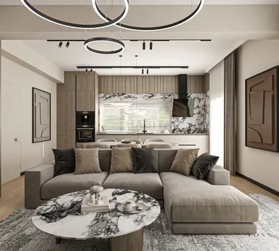 Casa individuala P+Mansarda Vivo Residence - Poză 3