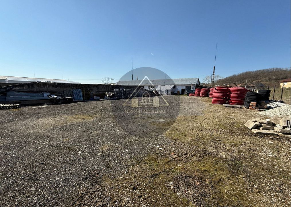 Halã de vânzare - Poză 10