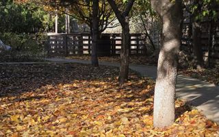 Exclusivitate! Proprietate Sendreni, zona linistita, 69.000 EUR - Poză 20