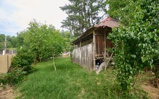 Teren 2240 mp intravilan + casa batraneasca Hintesti-Basangesti - Poză 9